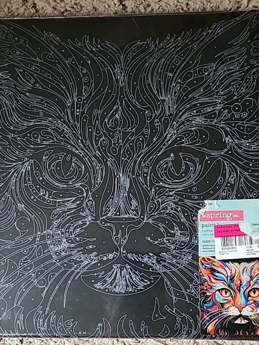 Paint By Number Cat Canvas Kit 11.8" Square New